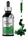 Horbäach Liquid Chlorophyll Drops | 2 oz | Vegan, Non OGM e Gluten Free Formula | Natural Peppermint Flavor