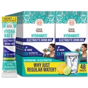 GuruNanda Hydramate Hydration Support Drink Mix - Electrolyte Powder Packets for Dehydration, Exercise & Energy - Nessun Addobbinamento aggiuntivo, Non OGM, Natural Lemon Lime Flavor - 48 Count (0.56 oz Ogni)