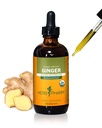 USDA Organic Ginger Root Extract*: Digestione e supporto circolatorio | Tintura di zenzero per Nausea occasionale | Non-Bitter Vegan Supplemento digestivo | 4 Oz, Fino a 3 Mesi di Alimentazione