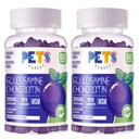 Animali Puri Glucosamina Condroitin Gummies con MSM & Elderberry Extra Forza - Supporto Congiunto, Antiossidante Integratore di Supporto Immune per Adulti, Uomini & Donne.(2 Confezione) Mirtillo