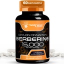 BENESSERE LABSRX Berberina Supplemento 15.000mg - Berberina con cannella di Ceylon, capsule di sostegno benessere generali - 120 capsule (pacchetto di 1)