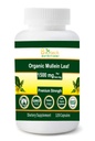 Foglia di Mullein Organica 1500 mg Servire 120 capsule vegetali Made in USA