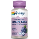 SOLARAY Grape Seed Extract 100 mg Plus Bioflavonoid Complex | Sano Cardiovascolare & Sangue Vessel Support | 60 VegCaps