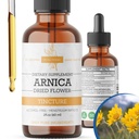 Arnica Liquid Extract – Alcol-Free, Vegan, Supporta il recupero muscolare & Joint Comfort, Tintura rapida assorbente, Made in USA – 2 Fl Oz