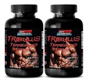 pillole per gli uomini sesso lungo e forte - TRIBULUS TERRESTRIS EXTRACT 1000MG - MUSCLE STRENGTH, aumento della fertilità maschile, pillole di libido maschile, pillole di sesso maschile, aumento del maschio, booster di resistenza, 2B 120 compresse