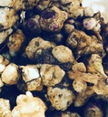 Organic Jerusalem Artichoke Tubers (Helianthus tuberosus) - Sunchokes, Sunroot o Jerusalem Artichokes for Planting or Eating - 5 Tubers by Smoke Camp Crafts