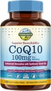 Terranics CoQ10 100mg, 120 Softgels, Assorbimento con Olio Extra Vergine di Oliva, Salute e Produzione di Energia