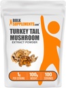BulkSupplements.com Turchia Tail Mushroom Extract Powder - Coriolus Versicolor Extract, Mushroom Supplement - Vegan & Gluten Free, 1g per Serving, 100g (3.5 oz) (Pack of 1)