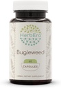 HerbEra Bugleweed 60 capsule, 400 mg, fatto con Bugleweed (Lycopus Virginicus) erba secca (60 capsule)