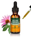 Estratto di liquido di echinacea organica certificata Pharm per il supporto del sistema immunitario - 1 oncia (DGOLDEN01)
