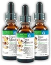 Minerali di Traccia Morter in Sospensione Colloidale (3 Pack) Migliore Alcalina di Processo di Morter — Elementi di Trace di Dense Nutrienti, Minerali Fulvici e Aminoacidi