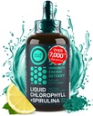 Liquido clorofilla gocce con Spirulina per acqua - Full Strength Energy, Wellness, Integratore di supporto immunitario - 50mg Chlorophyll Liquid, 12.5mg Spirulina - Limone Flavor Detox Drink - 2oz, 118 Servings