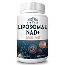 1600 mg Liposomal NAD Supplemento, 98% Pure NAD+ Supplemento, Assorbimento Superiore, alternativa a Nicotinamide Riboside o NADH per aumentare NAD+ per la difesa, l'energia, la longevità, 60 Softgels