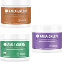 Polvere di Amla, il tè verde Superfood Supplemento con zucca spezie & uva spina indiana & Elderberry, organico, vegano, 30 Serve
