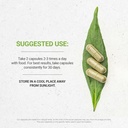 Segreti della Tribe Thyme 120 capsule, fatti con capsule vegetali e Thymus Vulgaris Toni Effect (120 capsule)