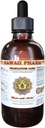 HawaiiPharm Prostate Support Integratore alimentare: Pygeum (Pygeum Africanum) Bark, Saw Palmetto (Serenoa Repens) Berry, Sting Nettle (Urtica Dioica) Tintura fogliare (Estratto liquido a base di alcol) 2 oz