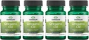 Olio di Cigno 10:1 Estratto - Supplemento naturale Promuovere la salute digestiva e il supporto respiratorio - Supporta il sistema gastrointestinale e la salute del tratto urinario - (120 Softgels, 150mg ogni) (4 Confezione)