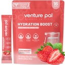 Imballaggio della polvere dell'elettrolita senza zucchero di Venture Pal - Liquid Daily IV miscela di bevanda per l'idratazione rapida e il recupero del partito | 5 vitamine & 7 elettroliti| Keto Friendly | Non OGM | Vegan certificato | 16 Sticks