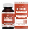 SoActive Berberine 550mg: 9.6X Assorbimento superiore, Studi clinici, Phytosome ottimizzato | Supporta il metabolismo e l'attivazione AMPK | Non-GMO, Soy-Free | Dose clinicamente convalidata | 60 Serve