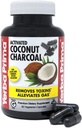 Yerba Prima Charcoal di cocco attivato, 60 capsule - Detox naturale - Vegetariano, Vegan, Gluten Free, Non OGM