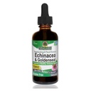 La risposta della natura Enchinacea & Goldseal | Supporta un sistema immunitario sano | Estratto puro super concentrato | privo di alcol, senza glutine, Vegan & Kosher certificato 2oz