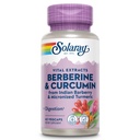 SOLARAY Berberine & Curcumin - Berberina Integratore Turmerico con 20% Curcumina Micronizzata da Radice Turca - Erbal Wellness Support - Non-GMO, Vegan, Gluten Free, 60-Day Guarantee, 60 Servings