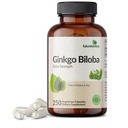 Futurebiotics Ginkgo Biloba Extra Forza Supporta funzione del cervello & supporto della memoria, 250 capsule vegetariane
