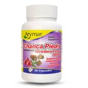 Arymar Chanca Piedra con mirtillo – Supporto erbe per la funzione di benessere e reni urinari (60 capsule)
