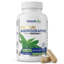 Estratto di 1,200mg con 100 mg di Andrographolides Vegan Capsule per il supporto immunitario e digestivo, Non OGM, Gluten Free, Integratore dietetico