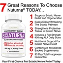Sciatic Nerve Relief Support Supplemento con 450 mg Alpha Lipoic Acid - 18 in 1 Formula Super per Back Basso, Hip, Lumbar, Thigh, Leg, Foot - Miglior supporto naturale Sciatic Nerve Relief - 90 Capsule