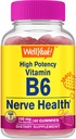 WellYes Alta potenza Vitamina B6 Gummies - Promuove la salute di Nerve, la funzione cognitiva, il regolamento del mood, il supporto immunitario e la salute cardiovascolare - Vegan, non OGM, senza glutine - 60 conte