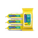 Preparazione H Wipes emorroidi fluidi con lunetta per l'irritazione della pelle - 48 conte (pacchetto di 4)