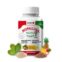 Nopalina Fiber Formula | 120 capsule | Flax Seed, Psyllium, Oat and Wheat Bran, Omega 3, 6 & 9 | Gut Health & Regularity | The Original