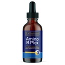 Rx Vitamins Amino B Plex Cat & Dog Supplement - Vitamina B Complex Liquid Plus Aminoacidi per cani e gatti - Appetite Booster and Weight Gainer Cat & Dog Vitamins - 4 oz