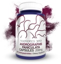 Andrographis paniculata Capsule | 200mg | 60 Count | 50% Andrographolides | Supporta la funzione immunitaria | Supporta la funzione cellulare