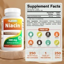 Migliori naturali Niacin 500mg 250 compresse con Flushing - anche chiamata vitamina B3 (250 conteggio (pacchetto di 2))