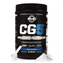 PMD Sports CG5 Premium Creatine & L Glutamine Polvere, Power Recovery, costruire il muscolo magro, aumentare le prestazioni di allenamento, massima resistenza pre allenamento e post allenamento, non aromatizzato, 60 porzioni