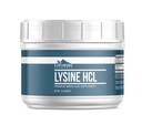 Elementi terrestri Lysine HCL Polvere (1,5 lb), Sempre Pure, Nessun Filler o Additivi