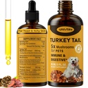 Turchia Tail Mushroom per cani - Assorbimento più veloce 2000mg Turchia Mushroom per Immune & Digestivo, Congiunto, Energia, 5X Mushrooms for Pet Drop con Turmeric & Probiotic - Vet Formulated, 90 ML/3FL.oz