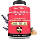 Nutrivein Premium Fadogia Agrestis e Tongkat Ali Supplemento con Turkesterone - 1100 mg - 120 Caps - Miscela sinergica per prestazioni, resistenza, & Recupero per uomini e donne di tutte le età