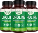 Nested Naturals Choline Bitartrate 500mg | Integratori ad alta potenza Choline | Supporta prestazioni cognitive & Liver Funzione | 100% Vegan & Non-GMO | (3-Pack)