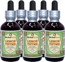 Timo di limone (Thymus x Citriodorus) Glycerite, Estratto di liquido privo di alcool di erbe secche organico (Nome: HerbalTerra, Proudly Made in USA) 5x2 fl.oz (5x60 ml)