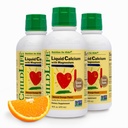 Integratore di calcio liquido per bambini - Baby Calcium con magnesio, zinco e vitamina D3 - Aroma arancione, 16 fl oz (3 Pack)