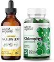 Selvatico & organico Mullein gocce 4 oz & Chlorophyll Gummies 60 Chews