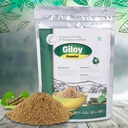 SVATV Giloy Powder | Guduchi | Tinospora cordifolia Stem Powder | Supplemento Herbsl per la digestione del supporto immunitario