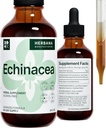 Echinacea 4 fl oz Liquid Extract - Radice Organica, Foglia, Fiore, Seed - Natural Herbal Supplement - Corpo, Sistema Immune Support Tincture - Gocce ad alta potenza - Fornitura di 90 giorni - Dimensione della famiglia