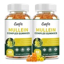 (120 pz) Gummie di Mullein per polmoni Detox– Estratto di foglie di Mullein con Quercetina, Elderberry per il supporto respiratorio e immunitario, Respirante & Lung Cleanse per fumatori, Vegan, Sapore di ananas, (2 Pack)