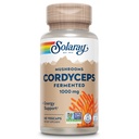 SOLARAY Cordyceps Fermented Mushroom 1000 mg - Supporto per l'energia sana - Fermented for Enhanced Absorption - Vegan, Non OGM, Lab Verified - 30 Servings, 60 VegCaps