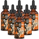 Liposomal Mushroom Complex Drops 2000 MG - 20 estratti di funghi biologici - Advanced Liquid Formula per l'immunità, la cognitiva e la memoria - Lions Mane Supplement, Reishi, Cordyceps, Chaga, 180 Servings