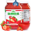 Wildcrafted Irish Sea Moss Gel | Made in USA | Rich in Vitamins & Minerals | Sea Moss Gel Raw | Integratore nutrizionale | Strawberry (16 oz)